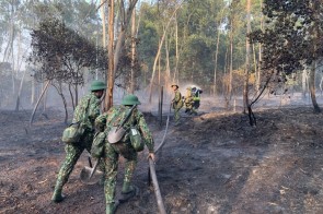 Cán bộ, học viên đào tạo sĩ quan Chỉ huy kỹ thuật Hóa học cấp phân đội trình độ đại học Khóa 23 - Tiểu đoàn Đào tạo tham gia dập cháy rừng