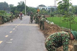 Trường Sĩ quan Phòng hoá tổ chức tốt đợt lao động giúp nhân dân xã Sơn Đông trồng hoa, cải tạo cảnh quan môi trường